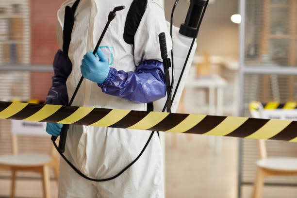 Professional Hoarding Cleanup technician working in Thompsons, TX